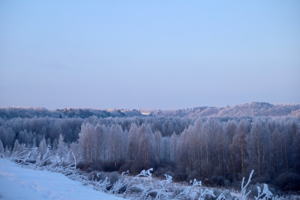 Зимушка-зима