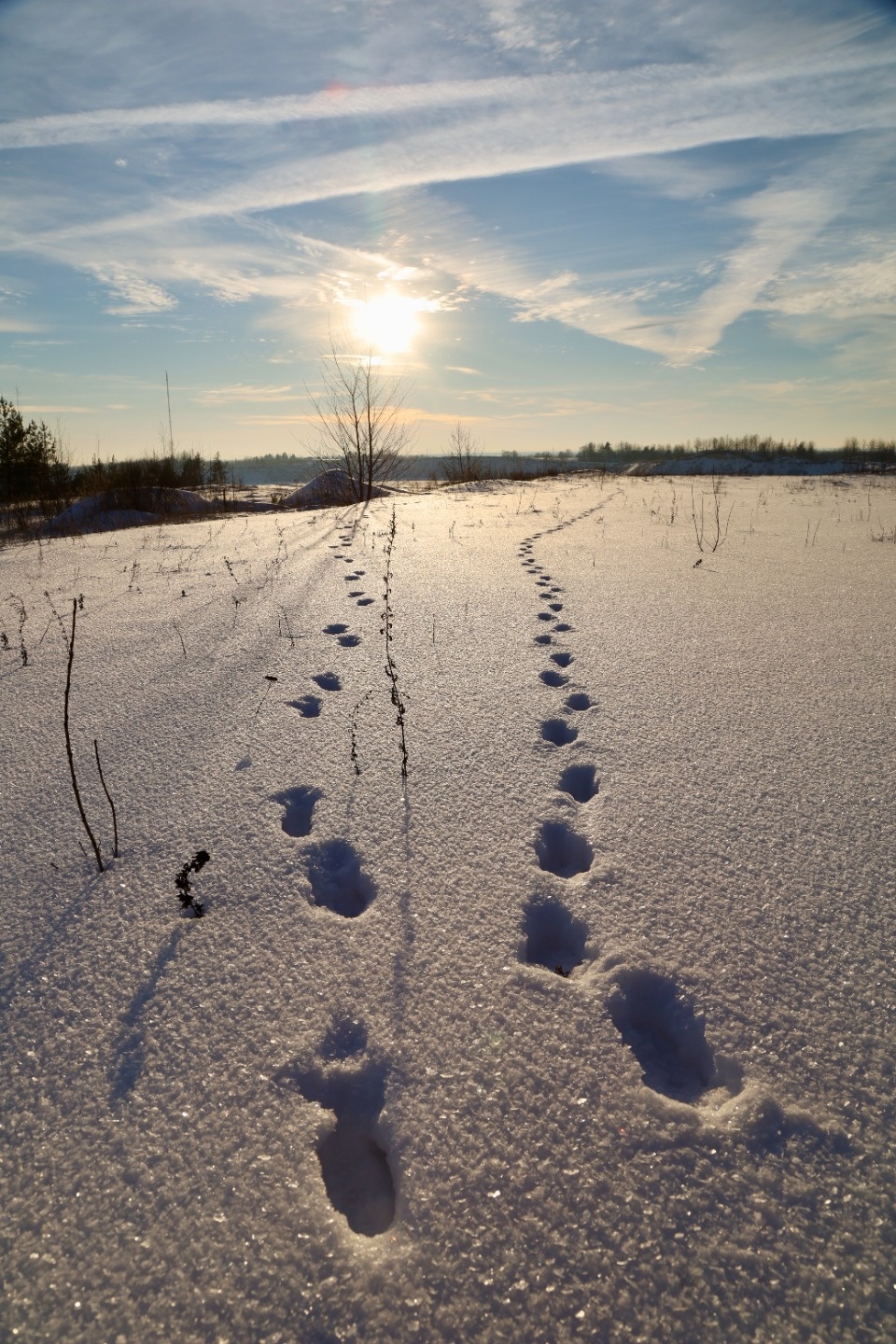 Зимушка-зима