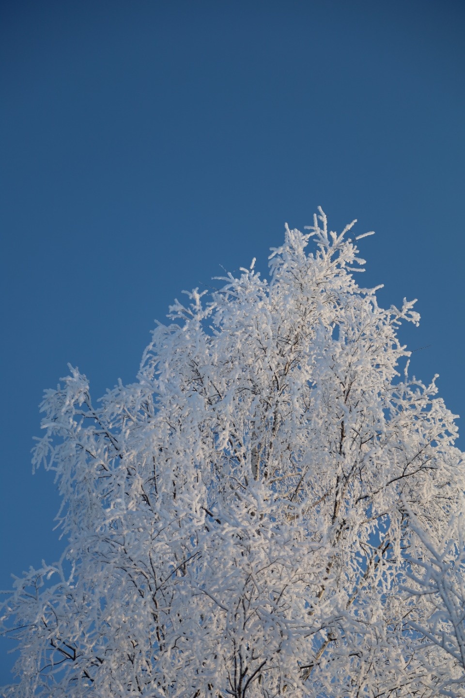 Зимушка-зима