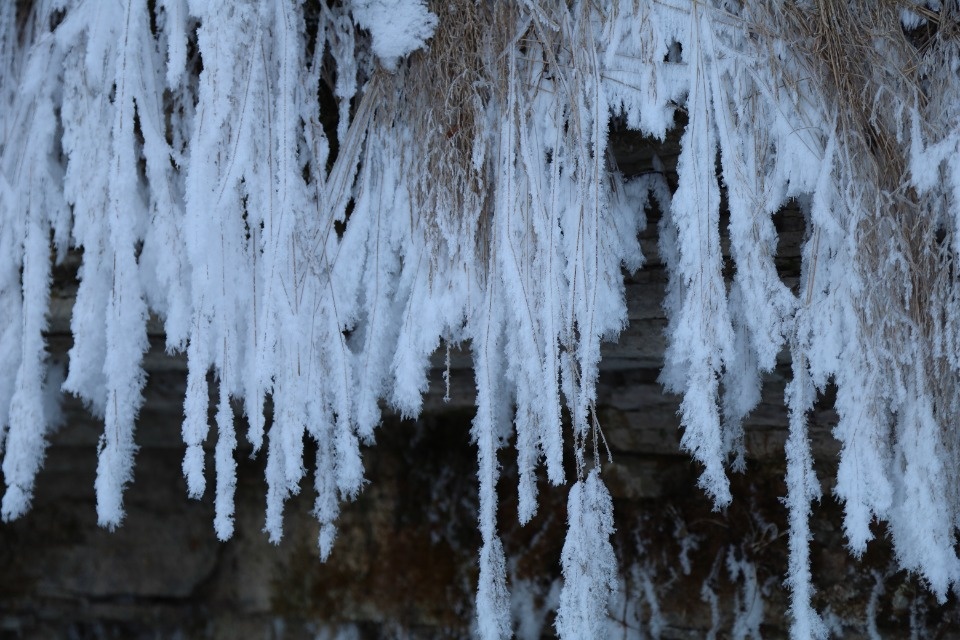 Зимушка-зима