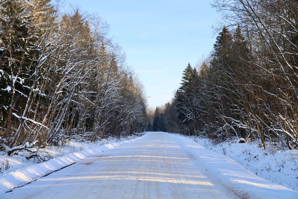 Зимушка-зима