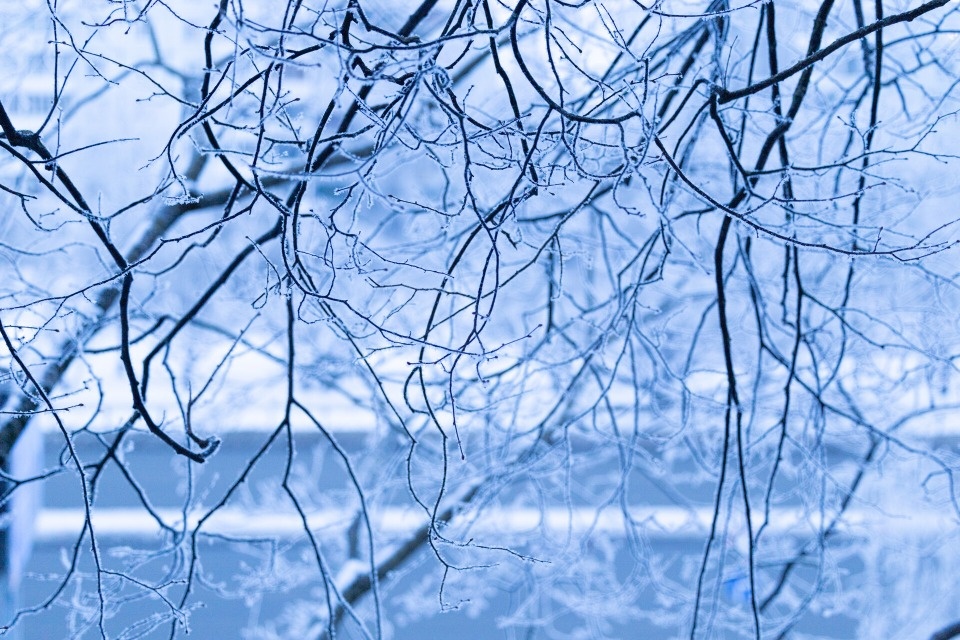 До -23 градусов прогнозируют в Псковской области 3 февраля