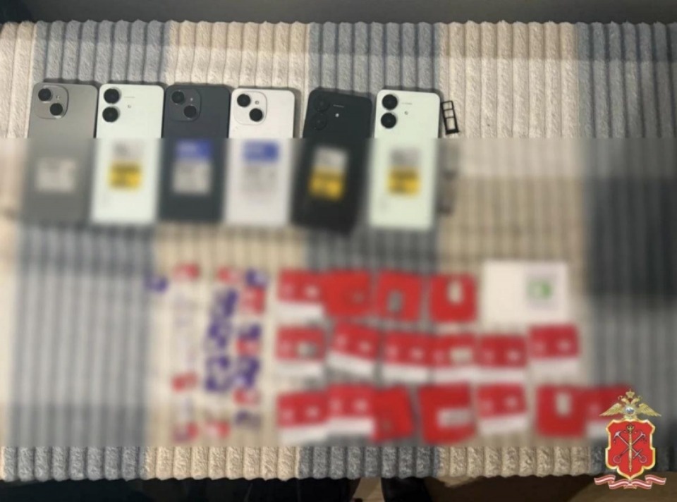 Помогавшую украинским мошенникам псковичку задержали в Ленинградской области