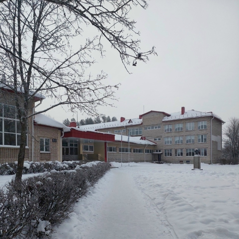 Из-за возгорания электрощитка школу в Пушкинских Горах перевели на дистант Из-за возгорания электрощитка школу в Пушкинских Горах перевели на дистант