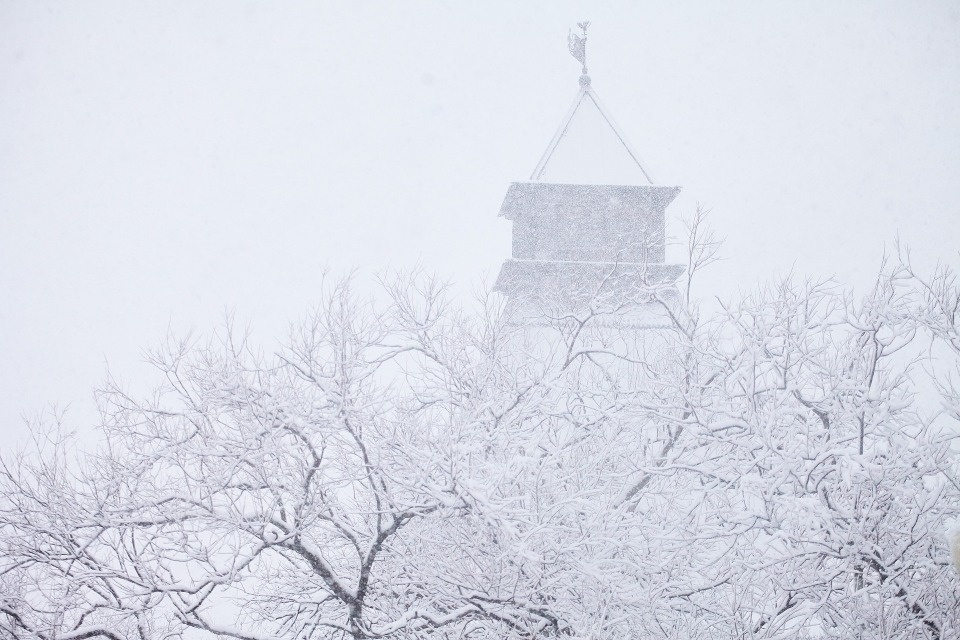 Как долго продлятся аномальные морозы в Псковской области, рассказала метеоролог Как долго продлятся аномальные морозы в Псковской области, рассказала метеоролог