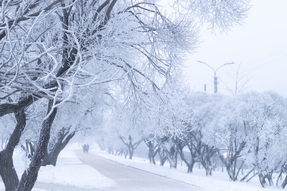 До -12 градусов ожидается в Псковской области 9 февраля