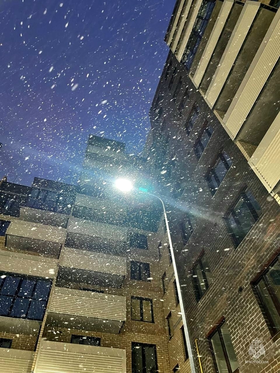 Сильный снег обрушится на Псковскую область ночью