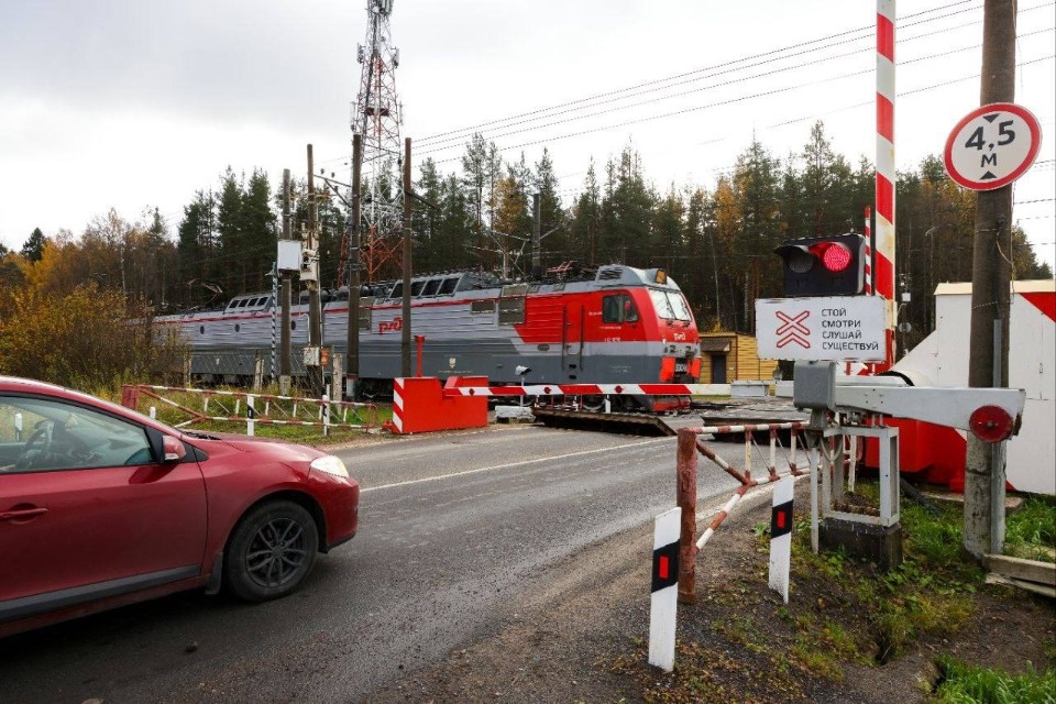 Асфальт на семи переездах и подходах к ним обновили в Псковской области в 2025 году Асфальт на семи переездах и подходах к ним обновили в Псковской области в 2025 году