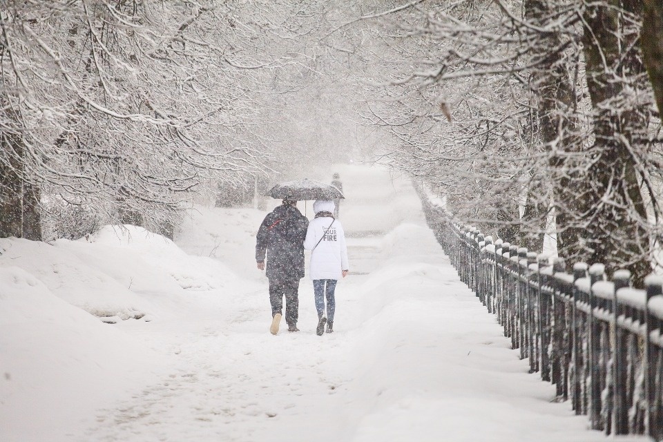 Снегопад прогнозируется в Псковской области с вечера 13 февраля