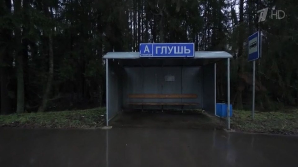 О даче в деревне Глушь Гдовского района рассказала актриса Дарья Мороз