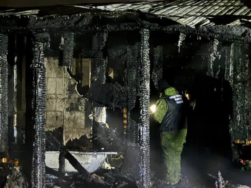 Мать и ребенок погибли на пожаре в Островском районе 