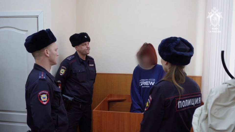 По делу о нападении в школе в Пермском крае задержали 16-летнюю псковичку По делу о нападении в школе в Пермском крае задержали 16-летнюю псковичку