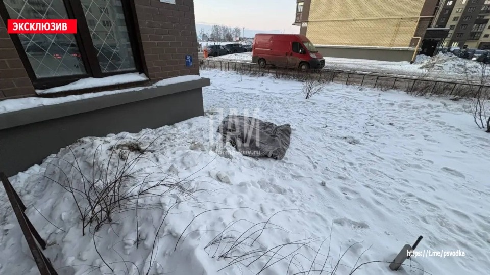 Девушка разбилась насмерть, выпав из окна дома в Псковском районе