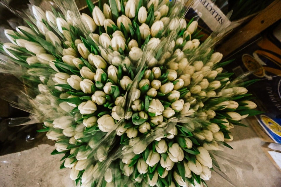 Цветочные тренды