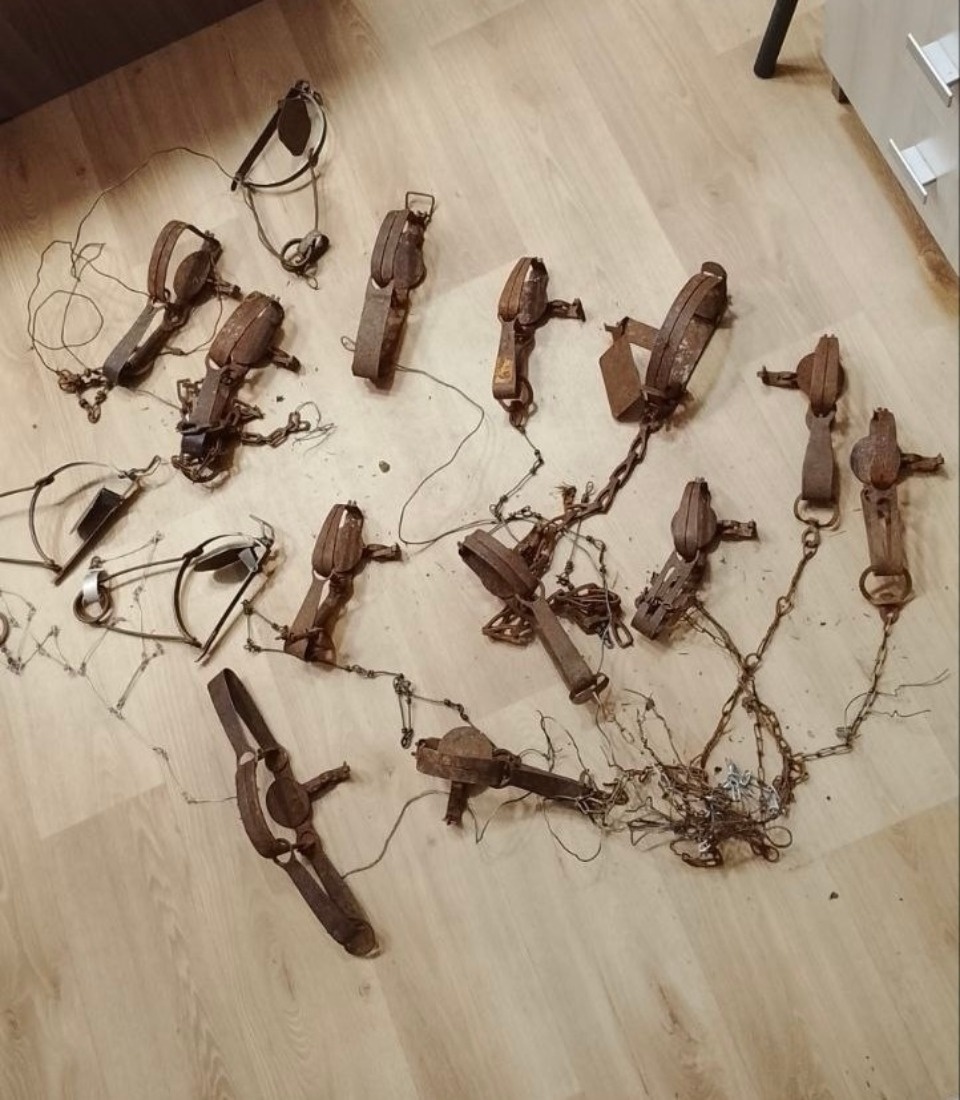 15 капканов на пушных зверей нашли в Полистовском заповеднике