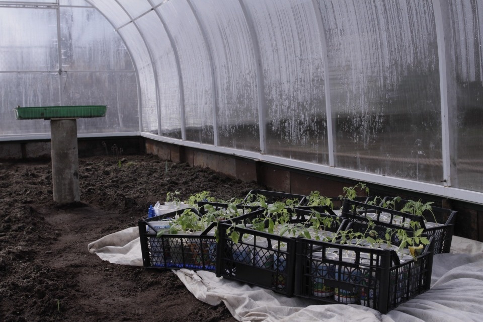 «Отложите грядки»