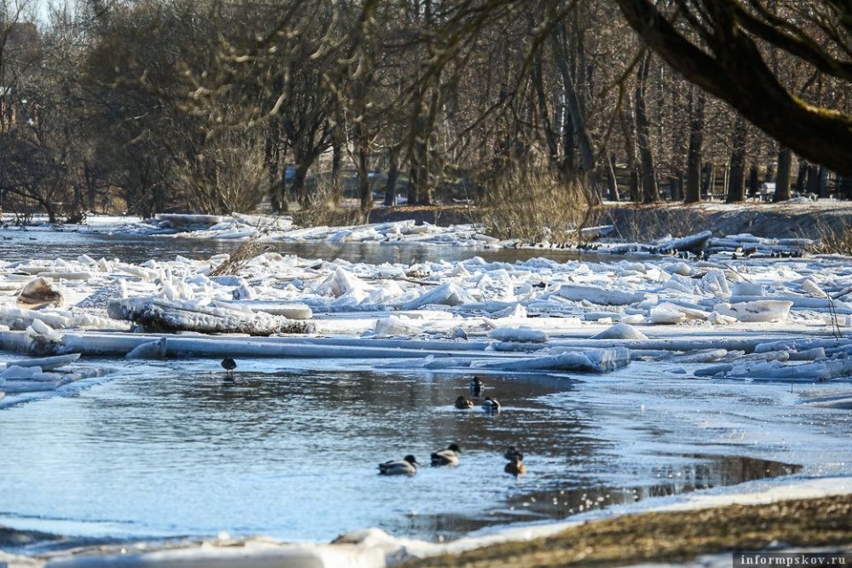 После 20 марта ожидается ледоход в Псковской области