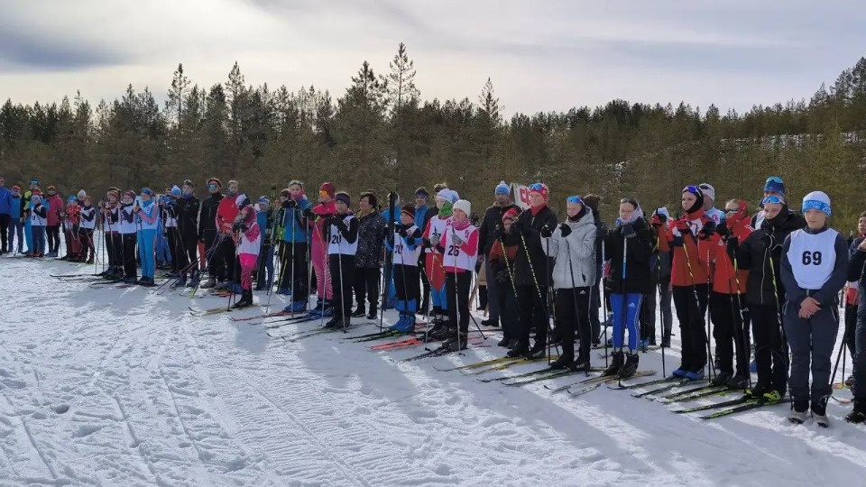 Первенство по лыжным гонкам в Стругокрасненском районе собрало 130 человек Первенство по лыжным гонкам в Стругокрасненском районе собрало 130 человек