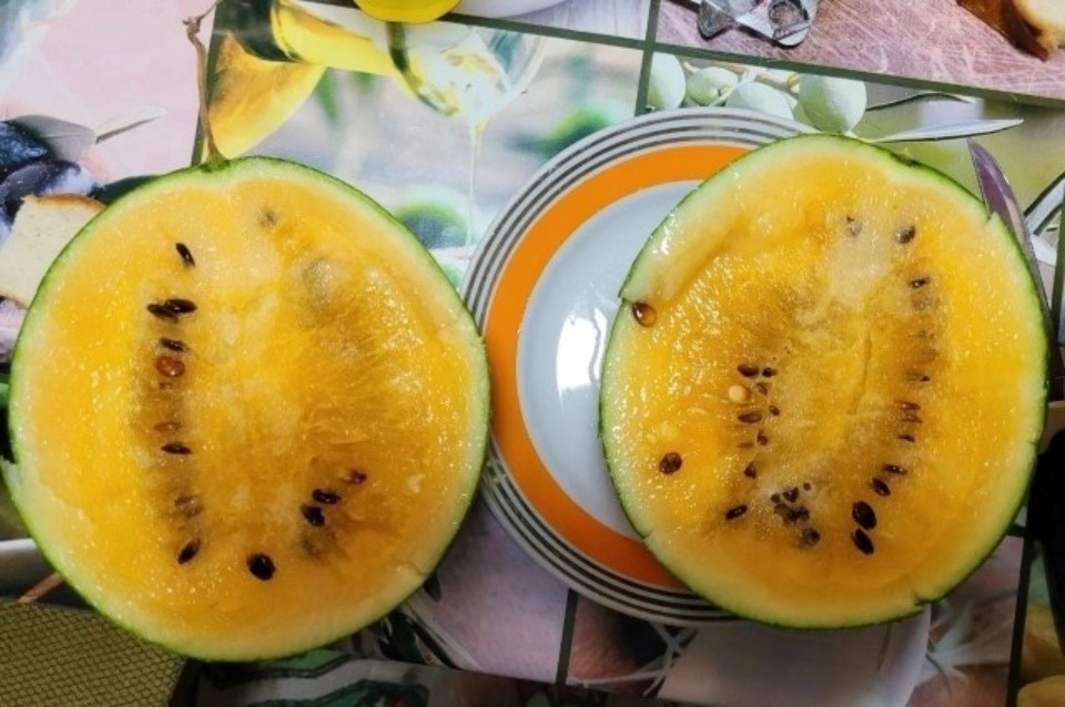 Тропики на подоконнике