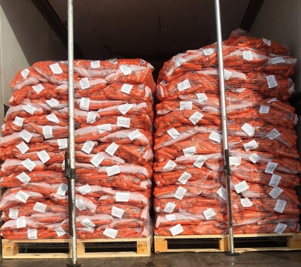 Почти 13 млн цветов ввезли в Россию через Псковскую область в мартовские праздники