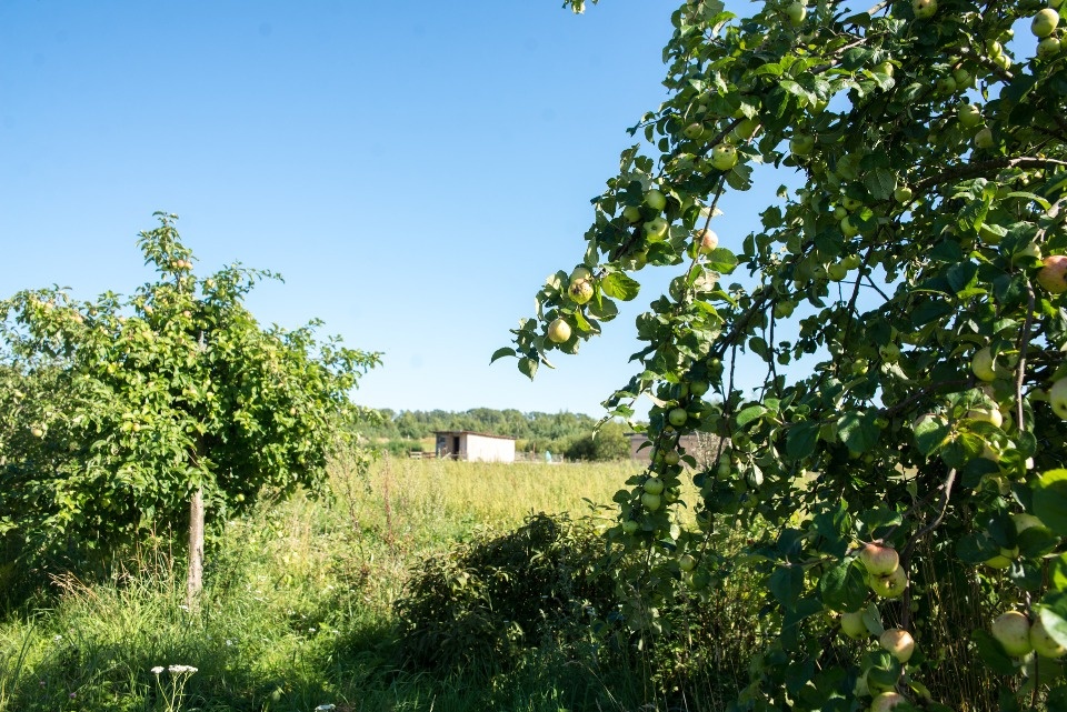 Центром притяжения профессионалов сферы агротуризма станет Псковская область в мае