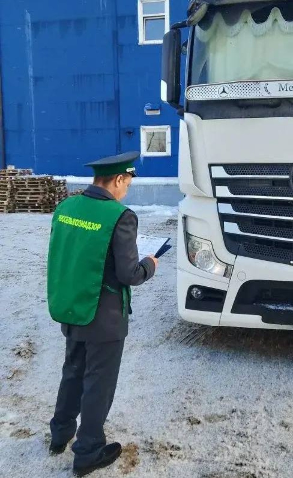 1,5 тысячи тонн животноводческой продукции ввезли в Россию через Псковскую область в мартовские праздники