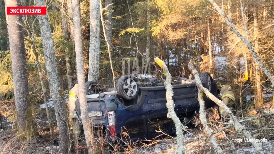 Мужчина скончался в результате ДТП в Стругокрасненском районе