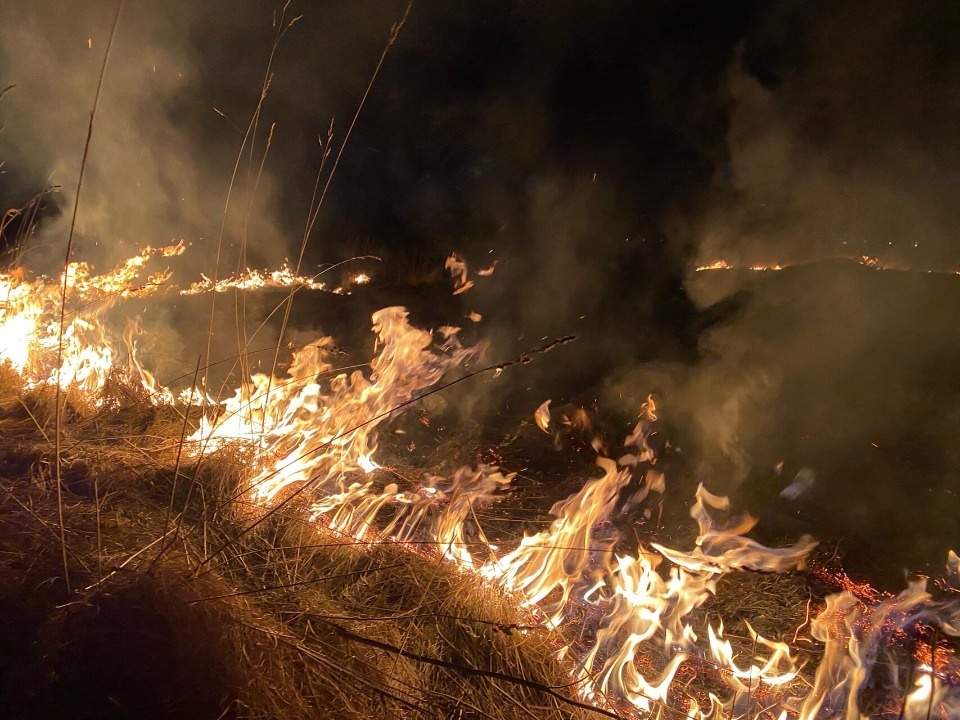 Первые случаи пала травы зафиксировали в Псковской области
