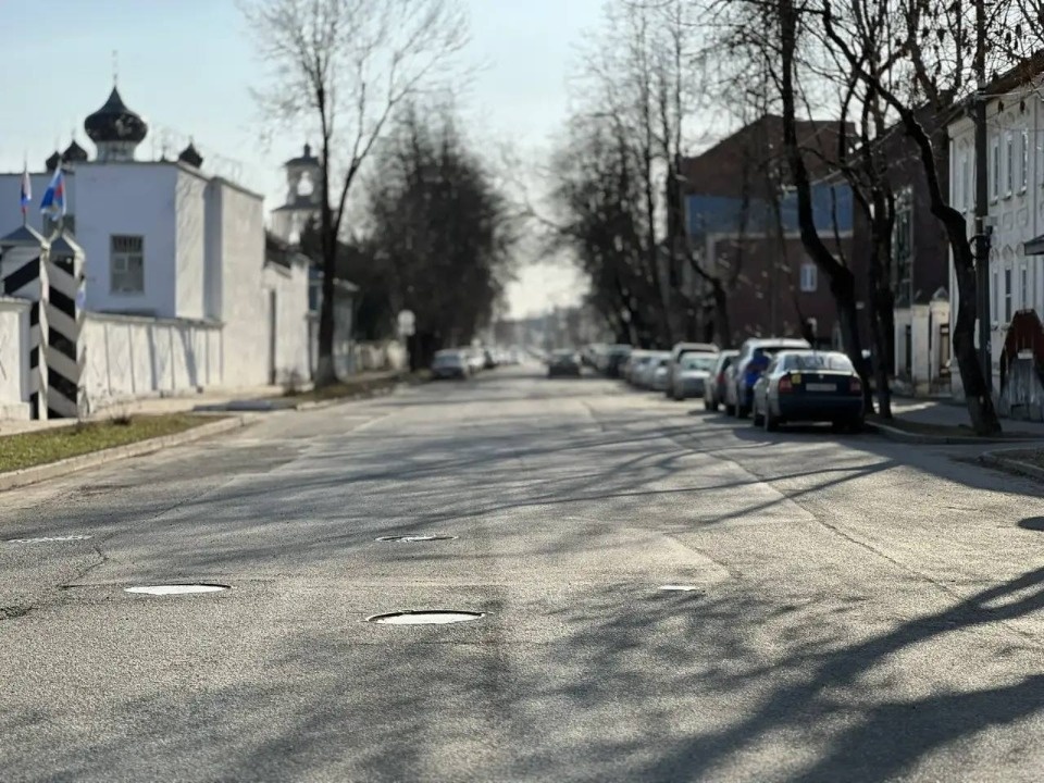 Новые деревья высадят на месте спиленных на улице Некрасова в Пскове 