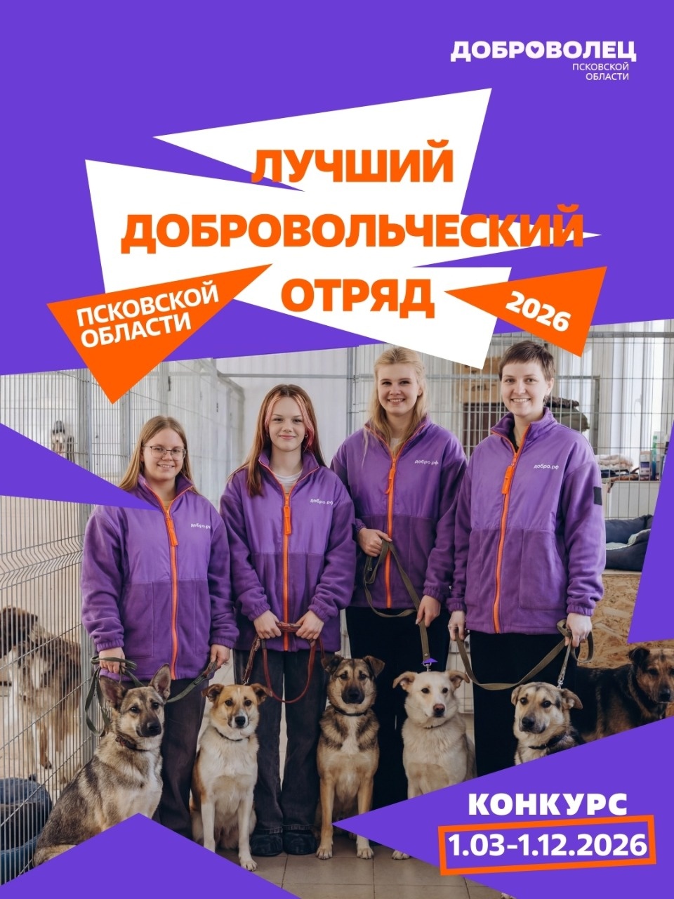 Конкурс на лучший добровольческий отряд запустили в Псковской области Конкурс на лучший добровольческий отряд запустили в Псковской области