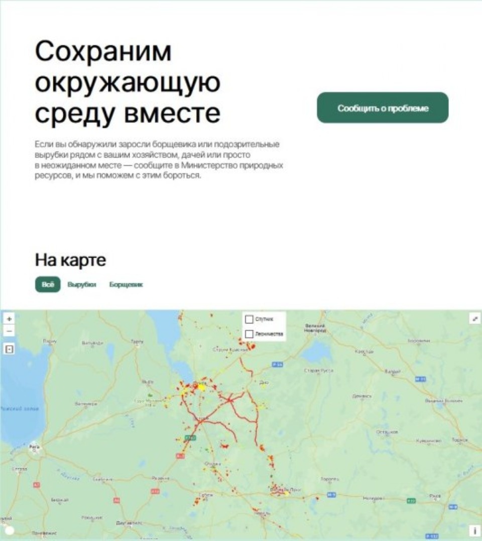 Псковичи могут информировать власти о незаконных вырубках в регионе