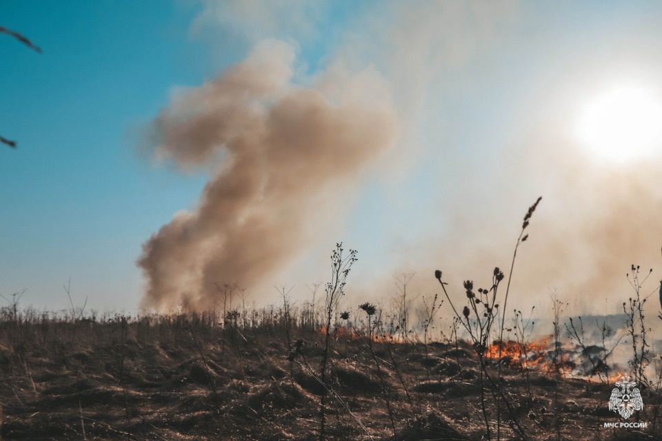 В Псковской области за сутки ликвидировали 12 пожаров