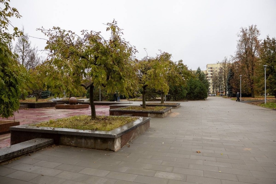 Псковичам рассказали, какие работы проведут в сквере у гостиницы «Рижская» в этом году