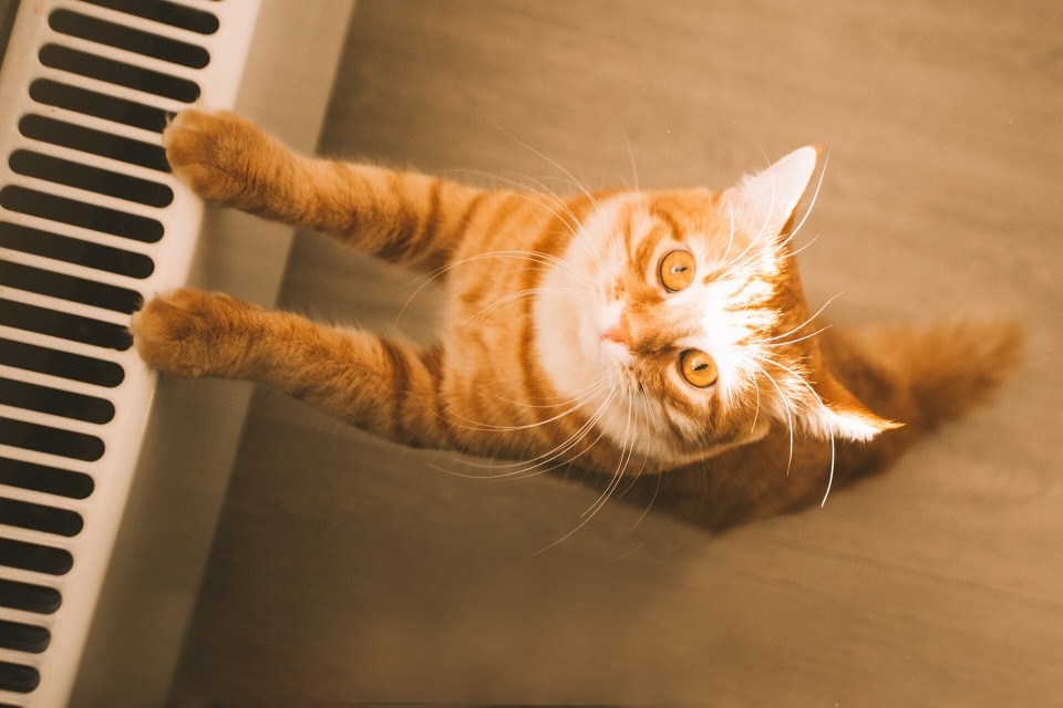 В Пскове не планируется ближайшее время отключать отопление 