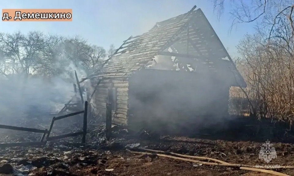 Тела двух мужчин нашли на месте пожара в Островском районе 