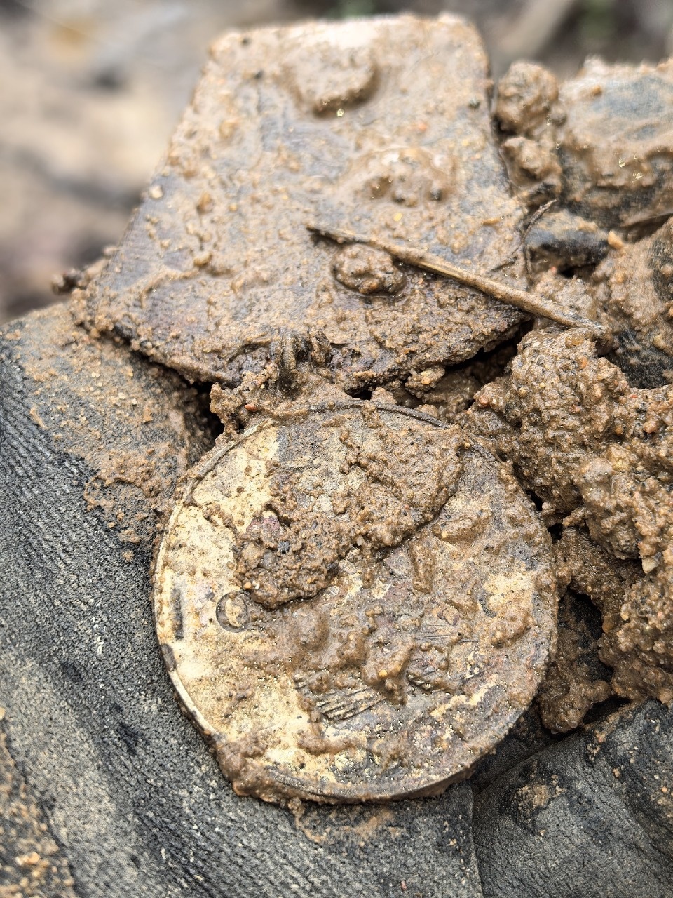 Благодаря обнаруженной медали у неизвестного бойца из лесов под Себежем появится имя