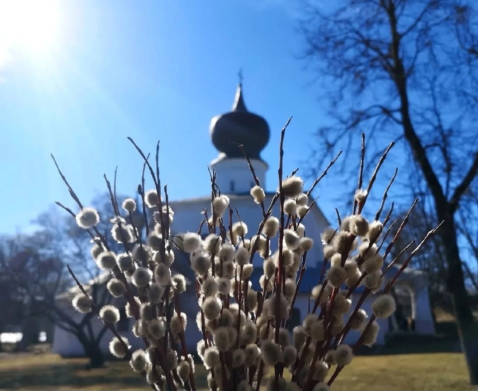Без нарушений прошло празднование Вербного воскресенья в Псковской области