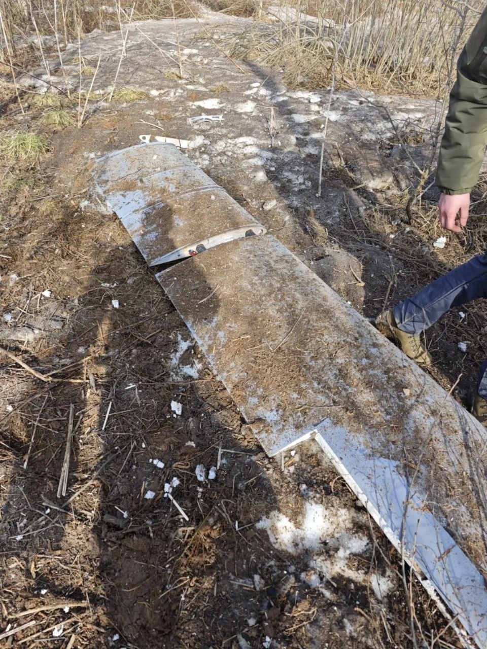 Потерпевший крушение украинский БПЛА с поражающими элементами ликвидировали в Куньинском районе