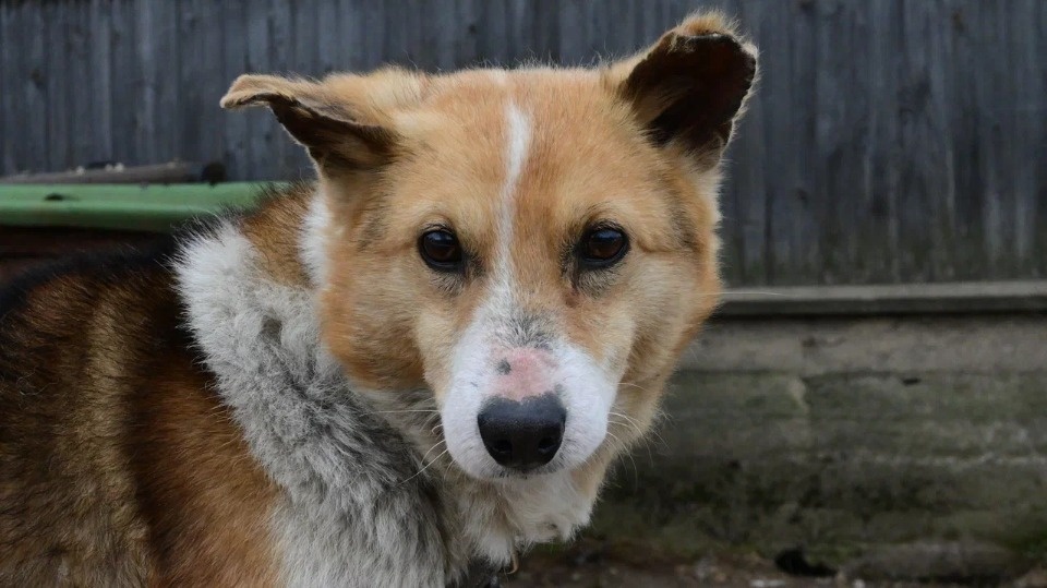 Оставить — значит убить