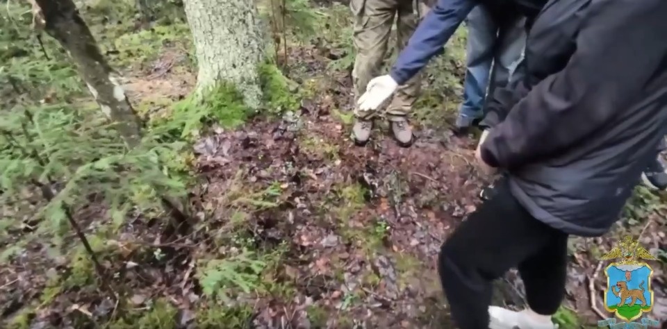 Незаконное хранение наркотиков пресекли псковские полицейские Незаконное хранение наркотиков пресекли псковские полицейские