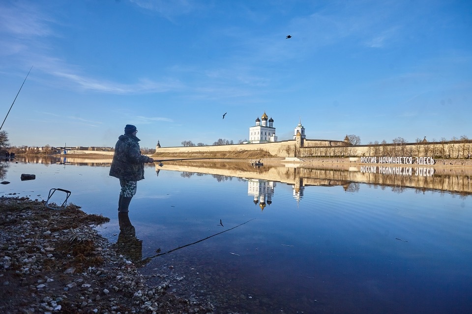 Миф об отсутствии рыбы в черте Пскова опроверг эксперт