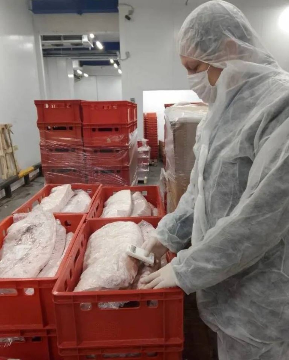 Более 11 тысяч тонн животноводческой продукции экспортировали из Псковской области с начала года