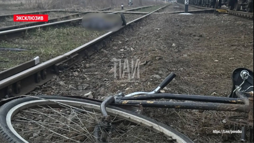 Поезд насмерть сбил велосипедиста в Плюссе 