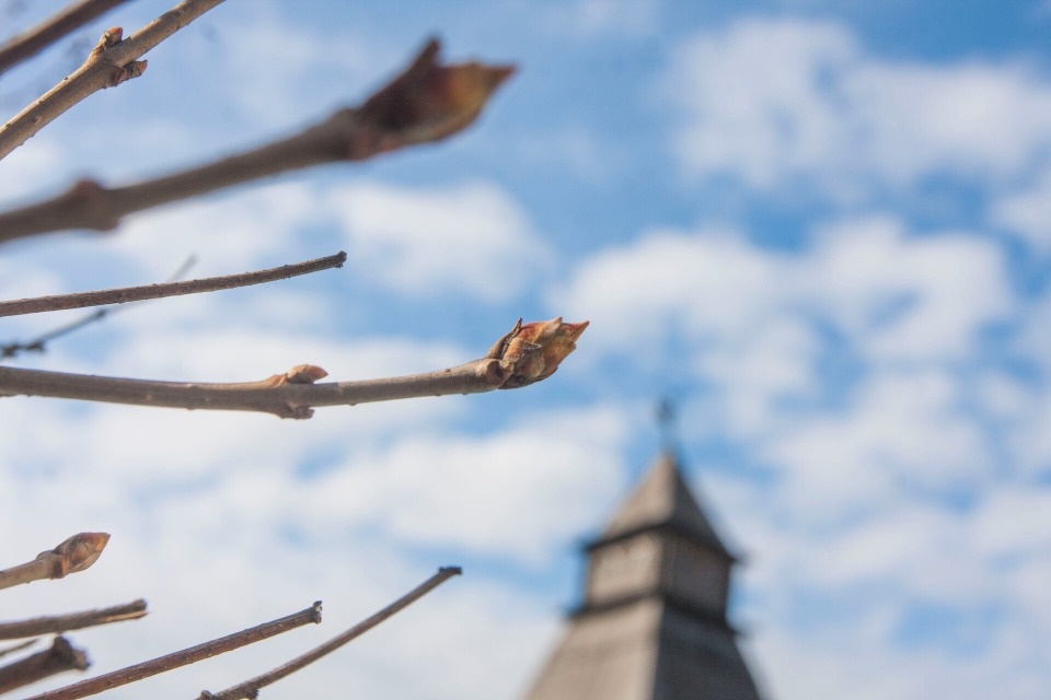 Режим беспилотной опасности в Псковской области отменен