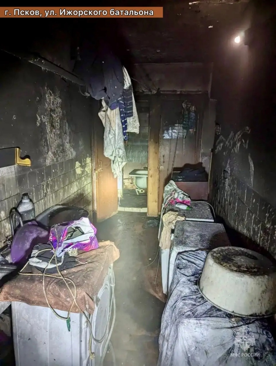 Шесть человек и пять кошек спасли на пожаре в Пскове Шесть человек и пять кошек спасли на пожаре в Пскове