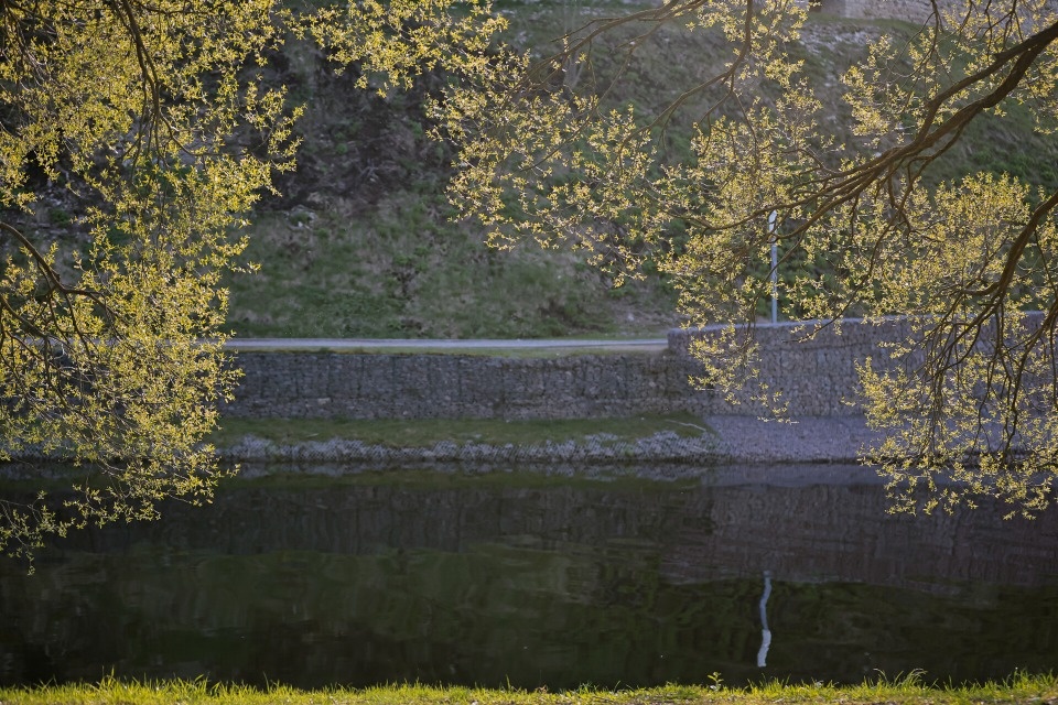 До +16 градусов ожидается в Псковской области 15 апреля 