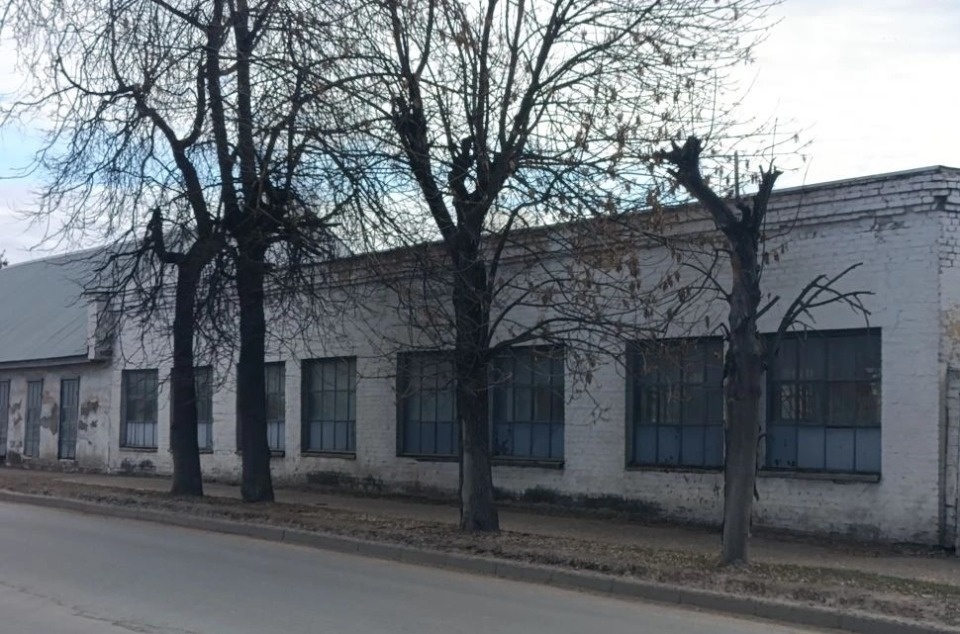 В Пскове вырубят опасные деревья на улице Вокзальной