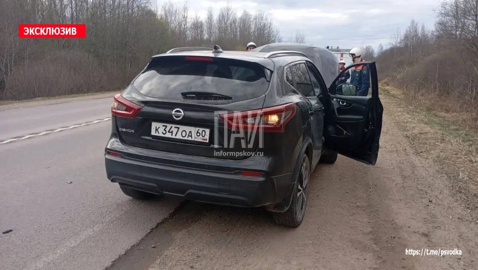Косуля погибла в ДТП в Псковском районе