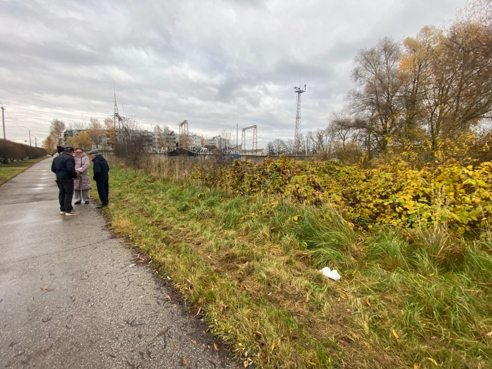 Новый сквер с прудом и воркаут-площадкой появится в Пскове летом