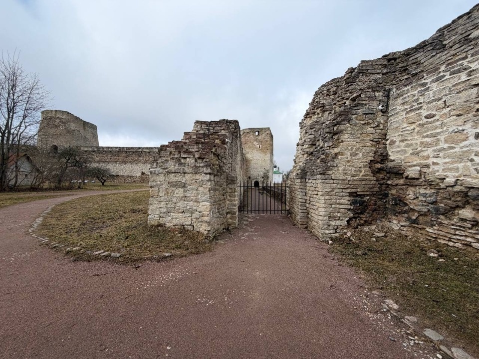 В Изборске змеи и ящерицы выползли из своих зимних убежищ